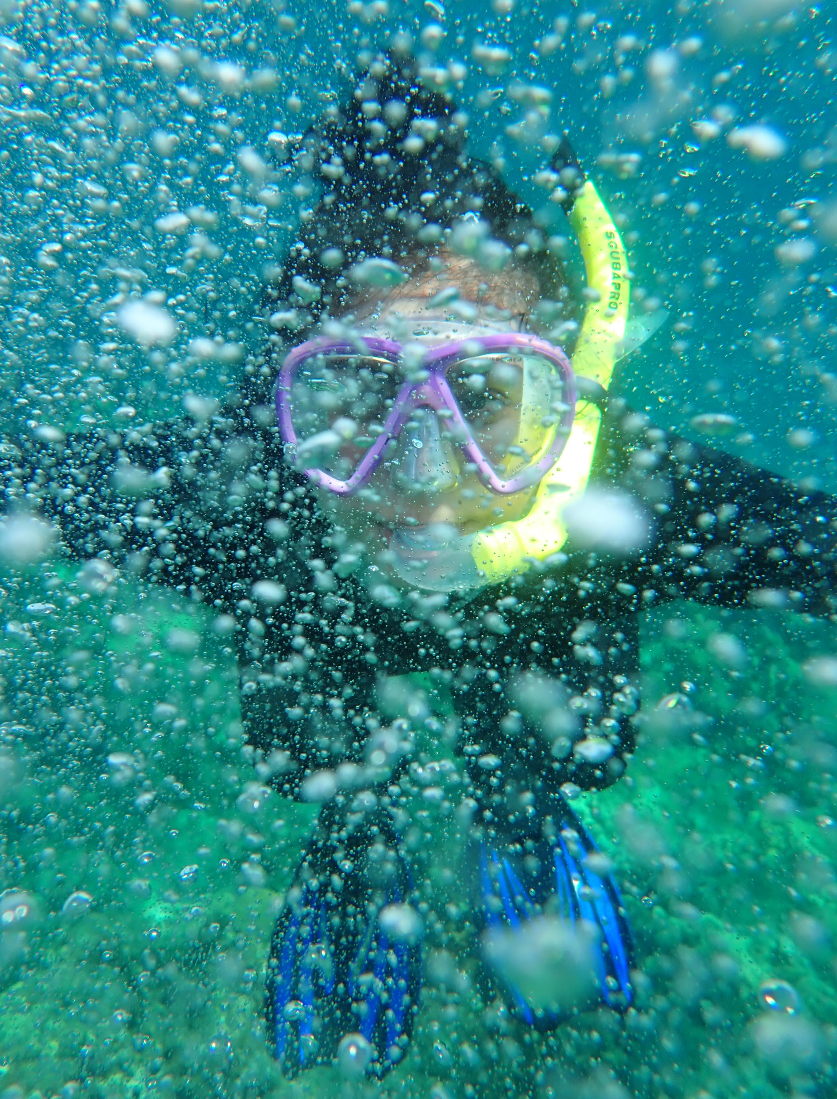 SFC student under water in Cuba